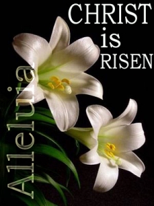 easter-lily-Christ-risen